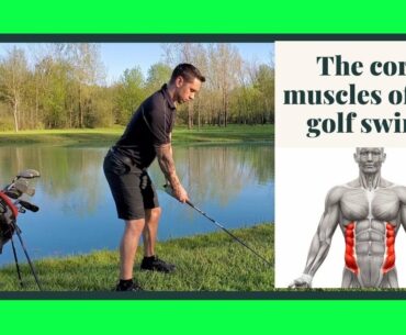 The core muscles of the golf swing