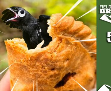 Fieldsports Britain - four-and-twenty blackbirds