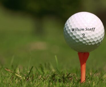 Wilson Staff Duo Urethane Golf Ball
