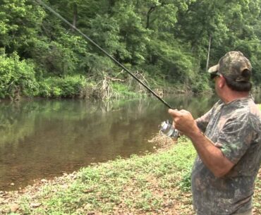 Middle TN Creek Fishing