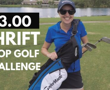 $3 THRIFT SHOP GOLF CHALLENGE (My New Favorite Club?!?!)