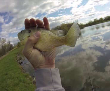 Some Spring Pond Fishing 2020