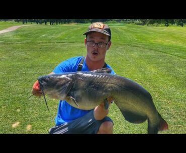 MONSTER channel catfish on a GOLF COURSE..