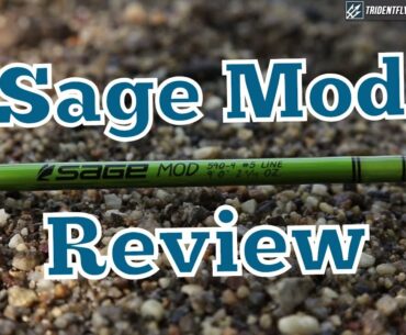 Sage Mod Fly Rod Review