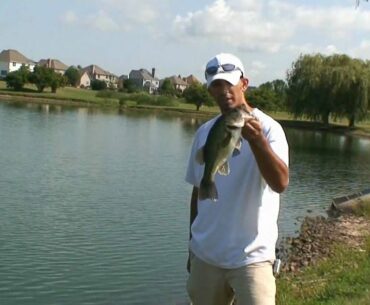 Bass Fishing in Ponds - Using Creek Chubs as Bait