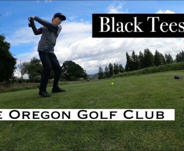 Can I Get Pars From The BLACK TEES? | Golfing @ The Oregon Golf Club BACK TEE'S | Home Course Ep. 19