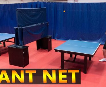 Giant Net Ping Pong