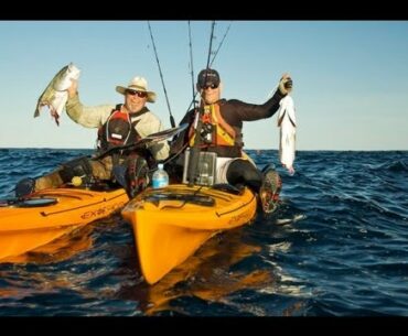 Shark Attack - Shark Rips Fish from Kayaker's Hand