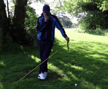 How to fulfill your true potential