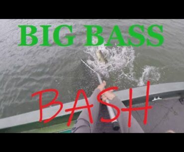 2v2 SAME BOAT BASS TOURNAMENT - Bass Fishing Choke Canyon Reservoir