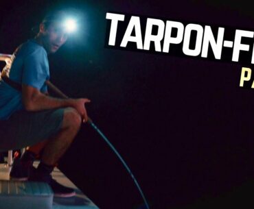 Tampa Bay Tarpon Fishing In Early Summer