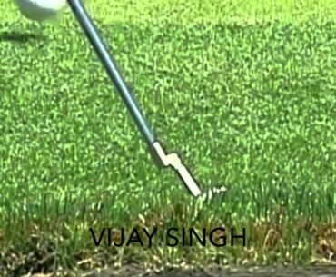 Top Golf Shots - Best Use of a Putter by Vijay Singh