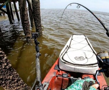 Fishing UNDER The Docks With Goofy Jigs, Gulp! , & Crabs!
