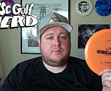 5 Good Beginner Discs From 5 Different Companies - Disc Golf Nerd