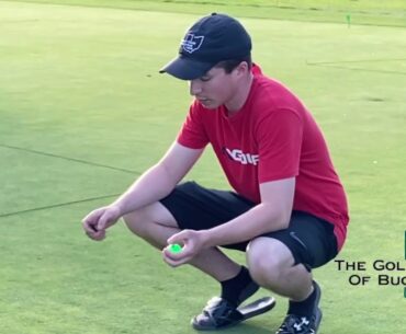 How To Fix A Ball Mark
