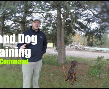 Upland Dog Training | Teach your dog to STAY