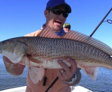 How to Catch Shallow Water Redfish (Red Drum)