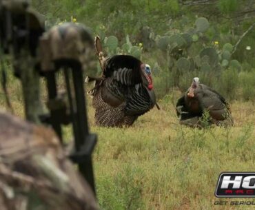 Turkey Hunting: Secret Decoy Tricks That Drive Gobblers Insane