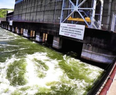 The Catch Them All Solution For Dam Fishing
