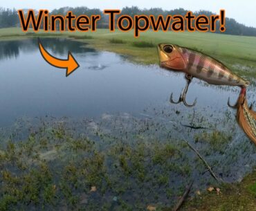 Winter Bass Fishing a Golf Course Pond (plus BIG News!)