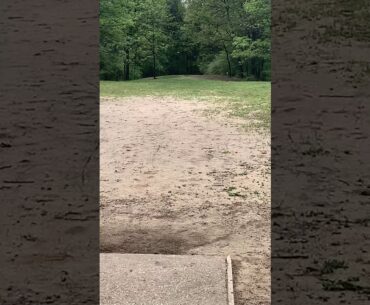 400 foot Forehand Throw at Fallasburg Disc Golf Course