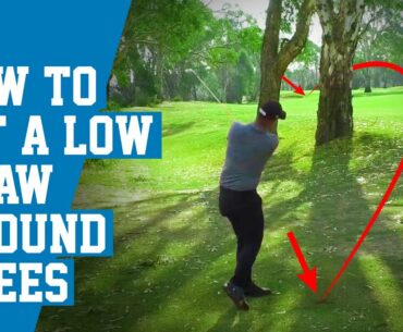 How To Hit a Low Draw Around Trees