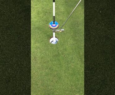 Flag Putter