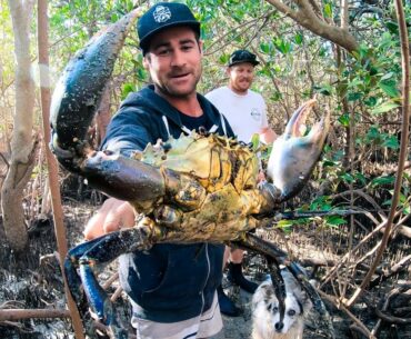 GIANT MUD CRAB Catch And Cook Camp Fire (Rock Knife And Flint) - Ep 90