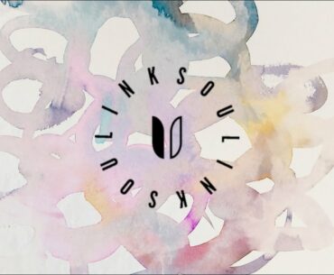 LINKSOUL Brand Story