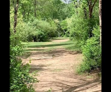 3 birdies on Hole 4 at Fallasburg Disc Golf Course