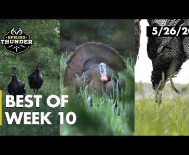 Best of Realtree Spring Thunder Week 10 | Iowa and Tennessee Turkey Hunting