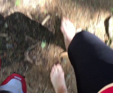 Barefoot in the woods