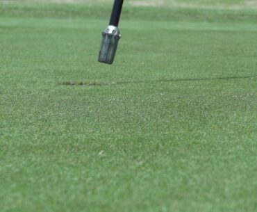 Sports a golf swing and put