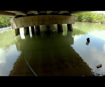 UNDERCOVER BRIDGE FISHING FOR UNIQUE FISH! Catching Tarpon Snook In The River In Trinidad