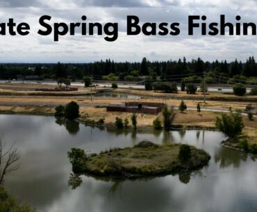 Late Spring Bass Fishing 2020 (Success!)