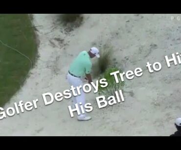 Watch Bill Haas Destroy a Plant in Order to Avoid a Penalty - Golf Rules