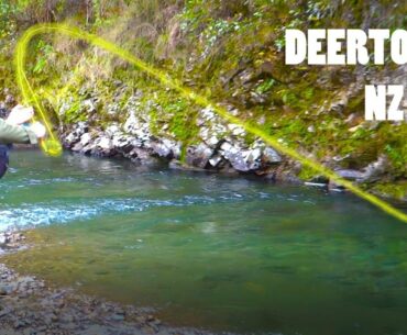 Fly Fishing for Big Late Season Rainbow Trout [New Zealand]