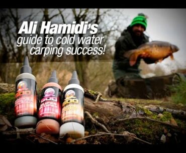 Ali Hamidi's guide to cold water carping success