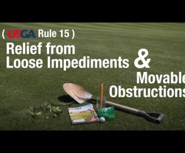 June 2020 Rule of the Month: Relief From Loose Impediments and Movable Objects