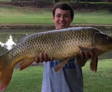 Hunting for HUGE carp!