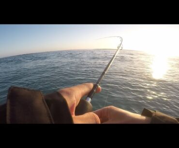 Redfin Fishing in the Mountains AND MORE! 2017 PT 1