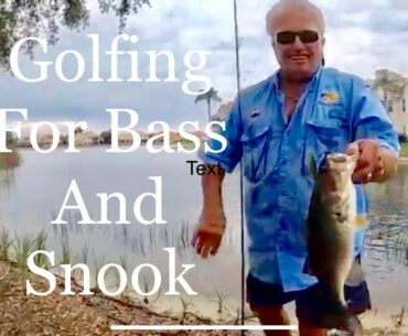 Golfing for Bass & Snook