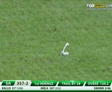 Andrew Strauss Destroys Own Sunnies