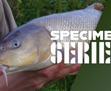 Big River Barbel Fishing - Tips & Tactics