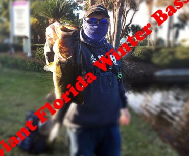 giant Florida golf course large mouth bass in cold florida weather   KastKing VLOG#22