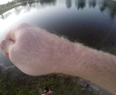 I almost killed my wife and tested peter haskins baits