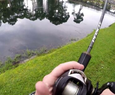 RHODES TESTED   KASTKING STEALTH light weight high drag baitcaster