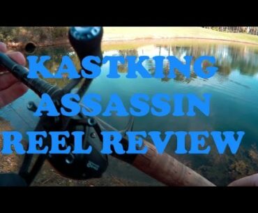 KASTKING ASSASSIN REEL REVIEW