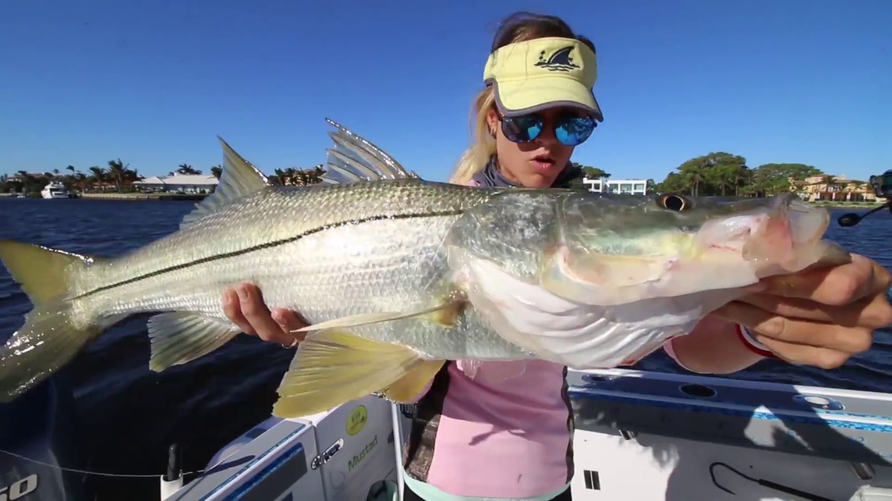 CATCH FISH the easy way…Trolling Inshore for Keeper Snook and MORE! CATCH FISH the easy way...Trolling Inshore for Keeper Snook and MORE!