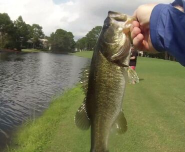 August Lucky Tackle Box Challenge Complete plus a talk about the KastKing Stealth